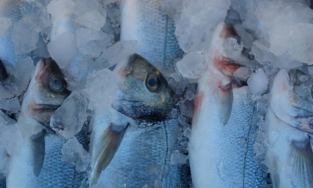 Dondurucuda Hangi Yiyecek Ne Kadar Saklanır? 7